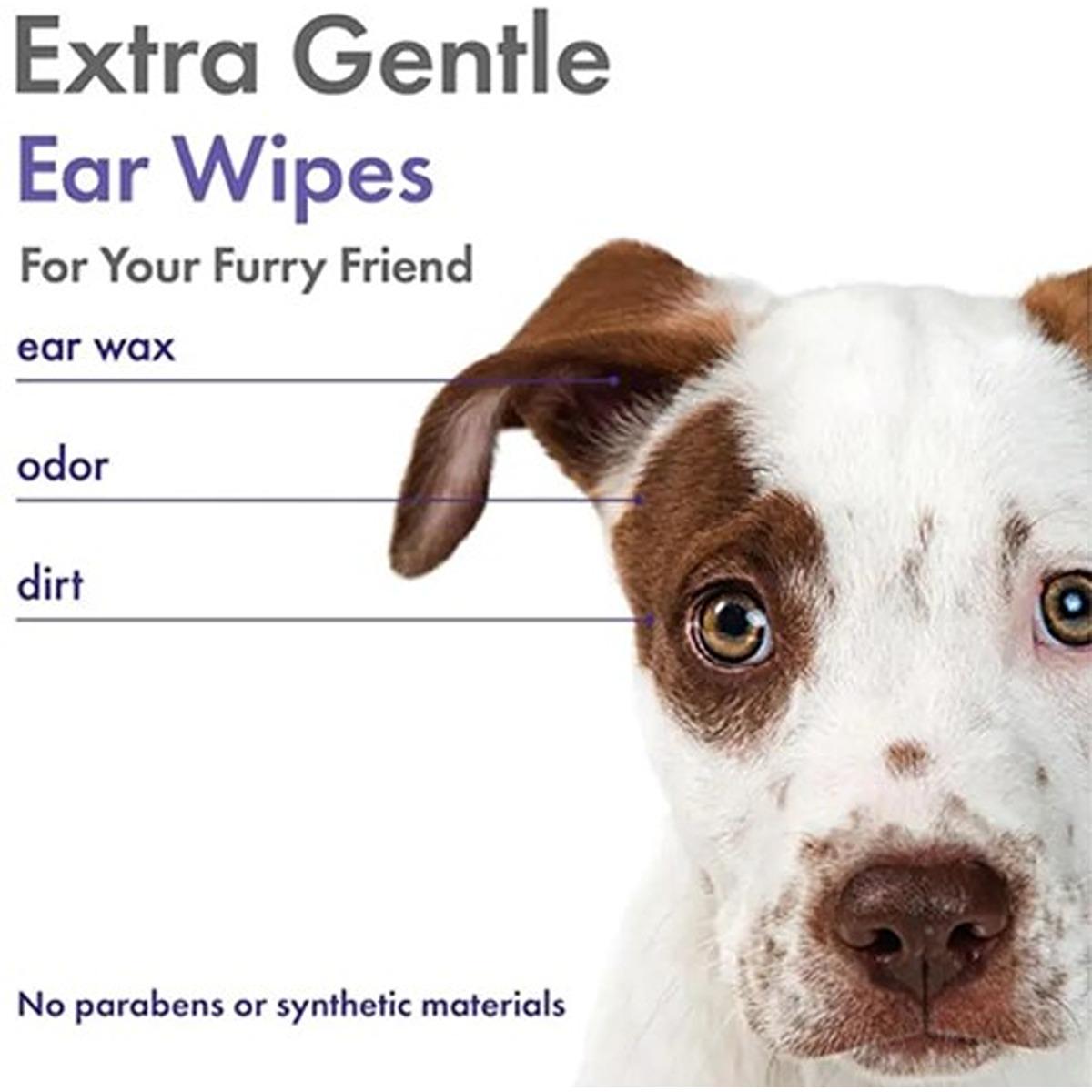 Petkin Plant Based Ear Wipes Lavender