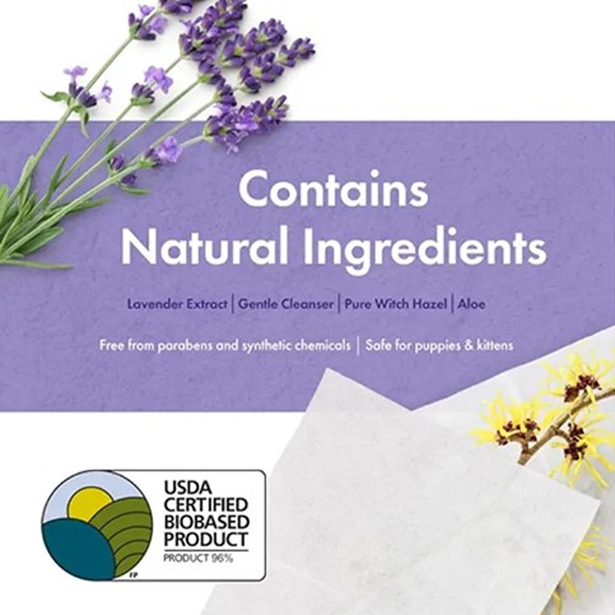 Petkin Plant Based Ear Wipes Lavender