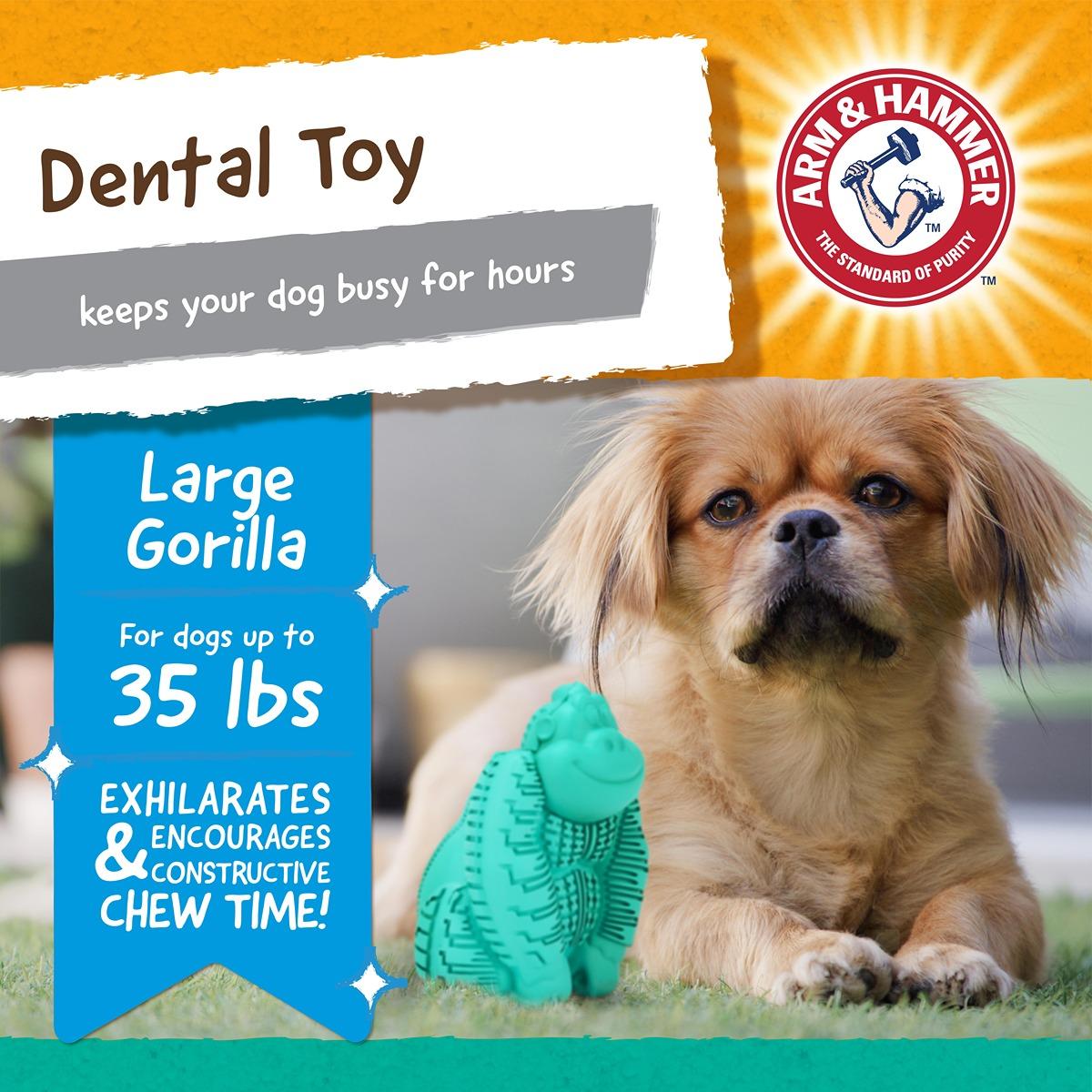 Arm & Hammer Super Treadz Gorilla Dental Toy