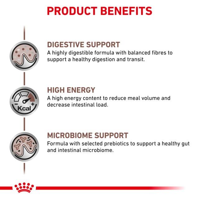 Royal Canin Vet Gastrointestinal Wet Dog Food