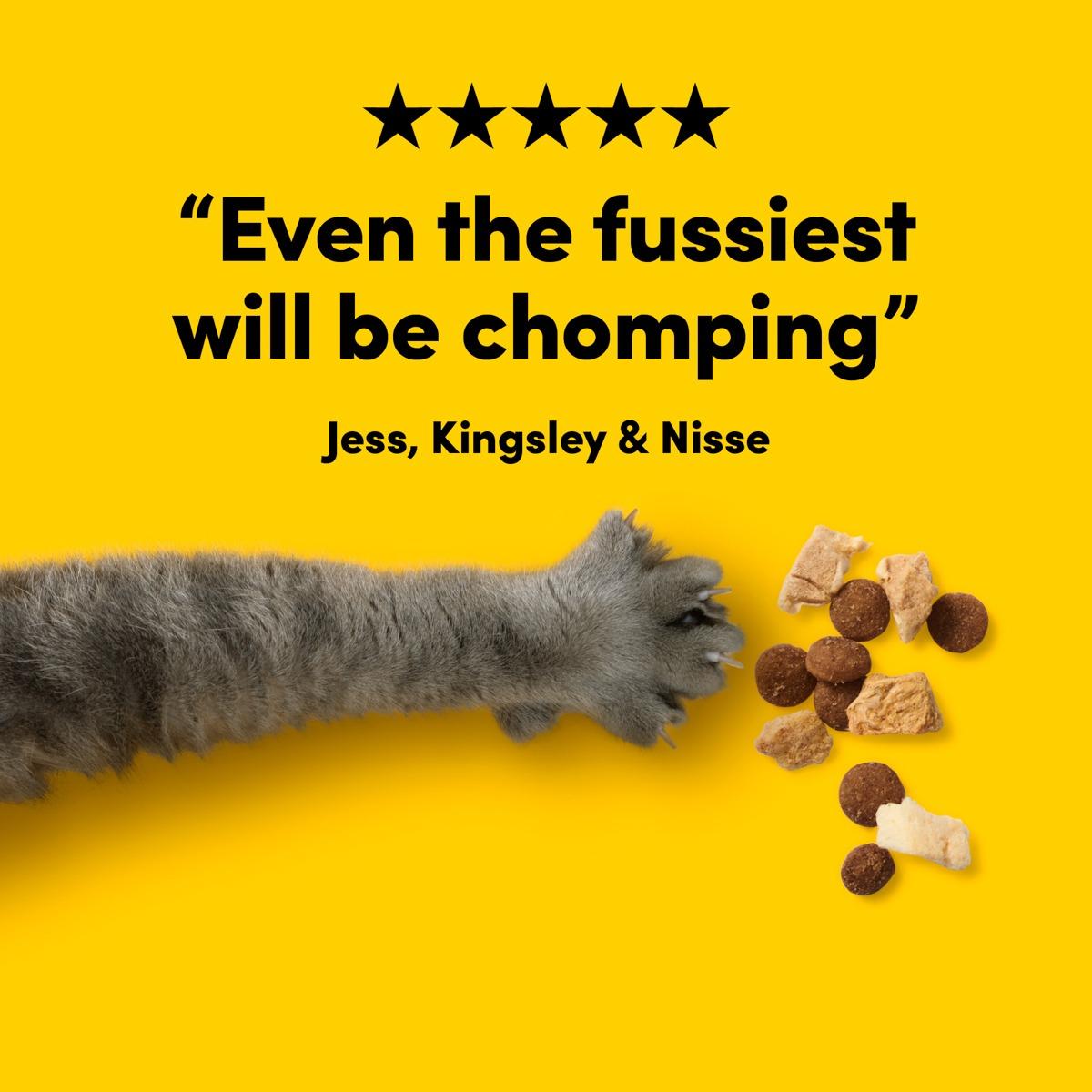 Animals Like Us Cat RawMix50 Chicken Dry Cat Food