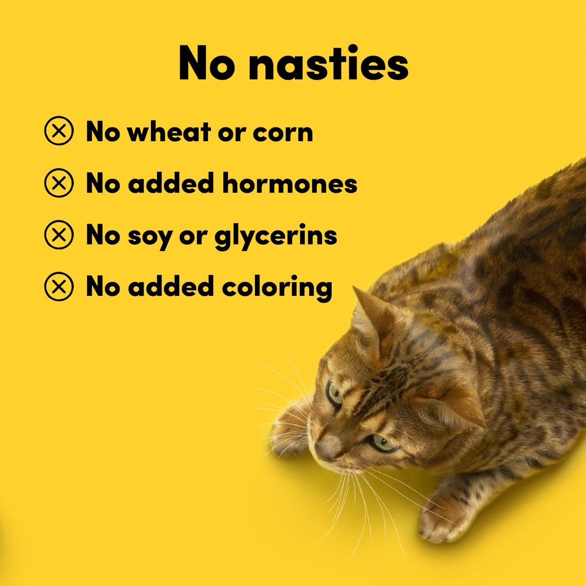 Animals Like Us Cat RawMix50 Chicken Dry Cat Food