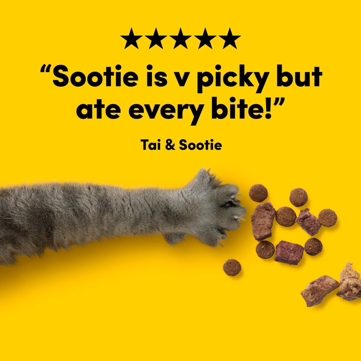 Animals Like Us Cat RawMix50 Fish & Chicken Dry Cat Food