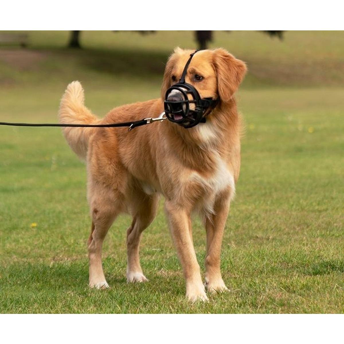 Baskerville Muzzle Ultra