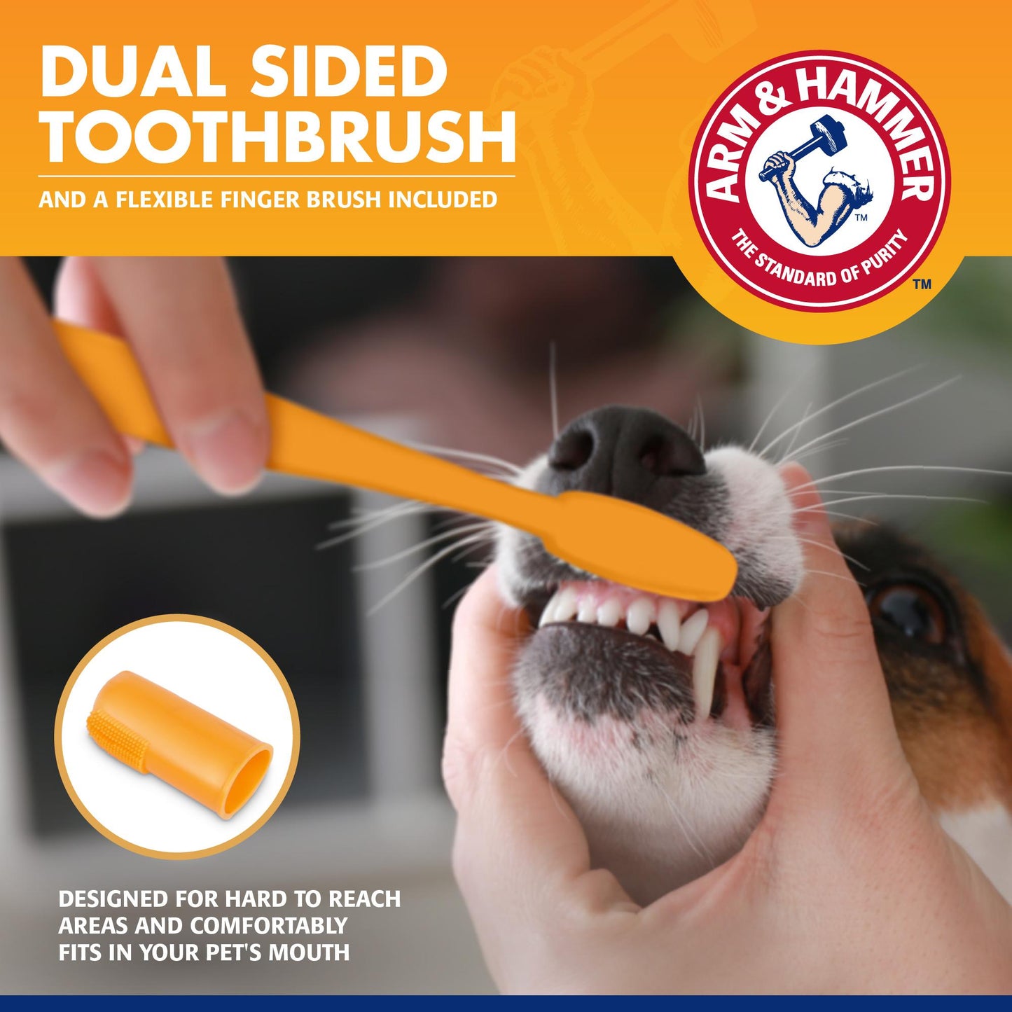 Arm & Hammer Tartar Control Dental Kit for Dog