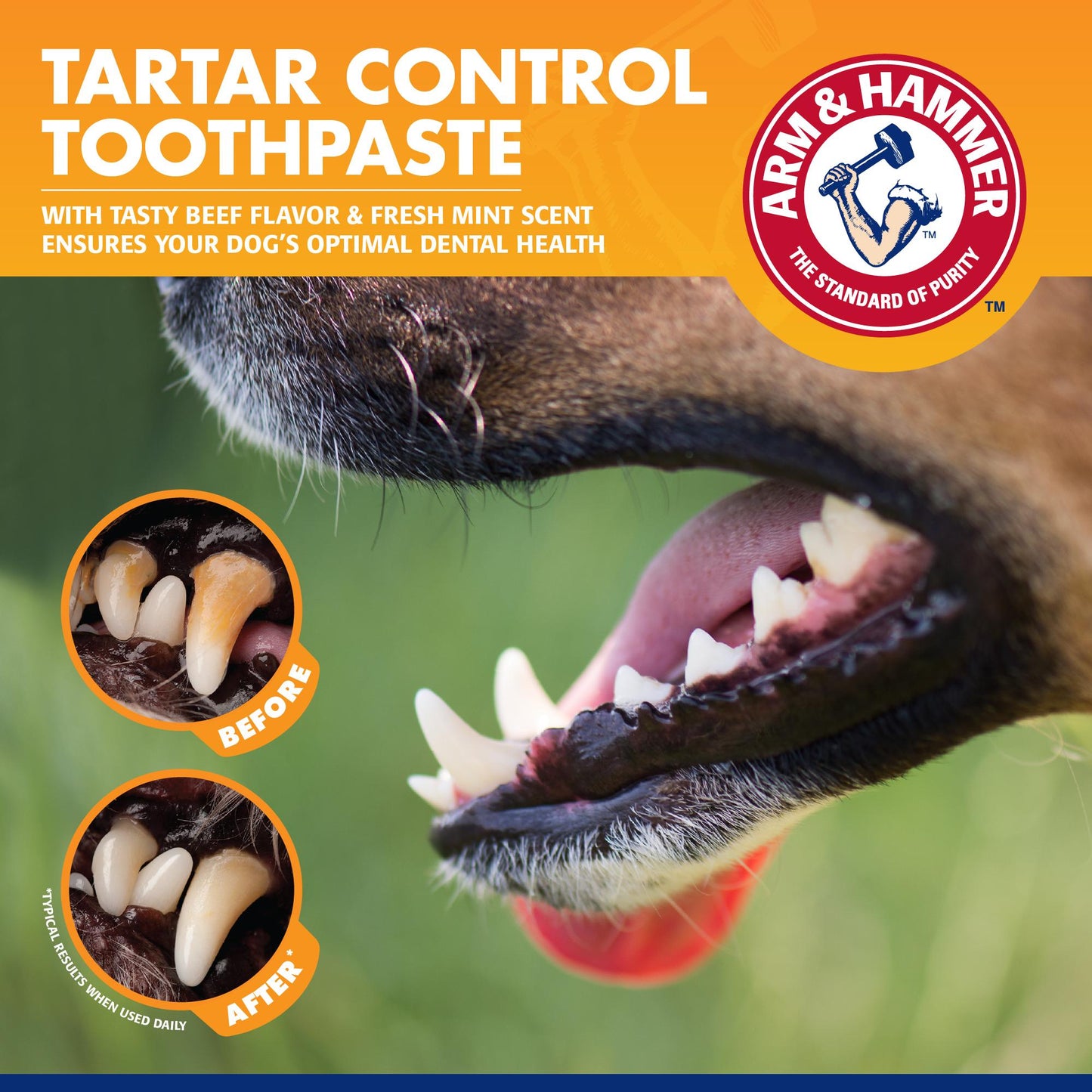 Arm & Hammer Tartar Control Dental Kit for Dog