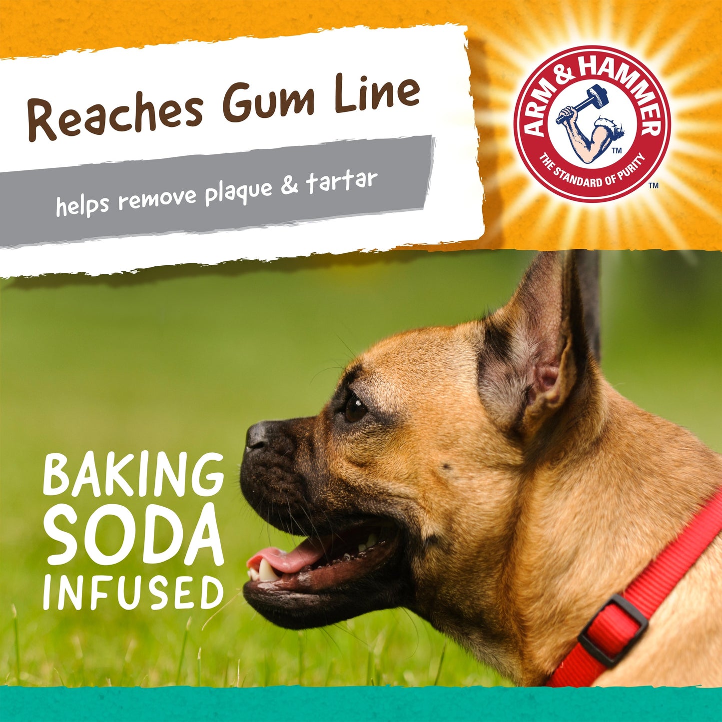 Arm & Hammer Dental Water Additive for Dogs