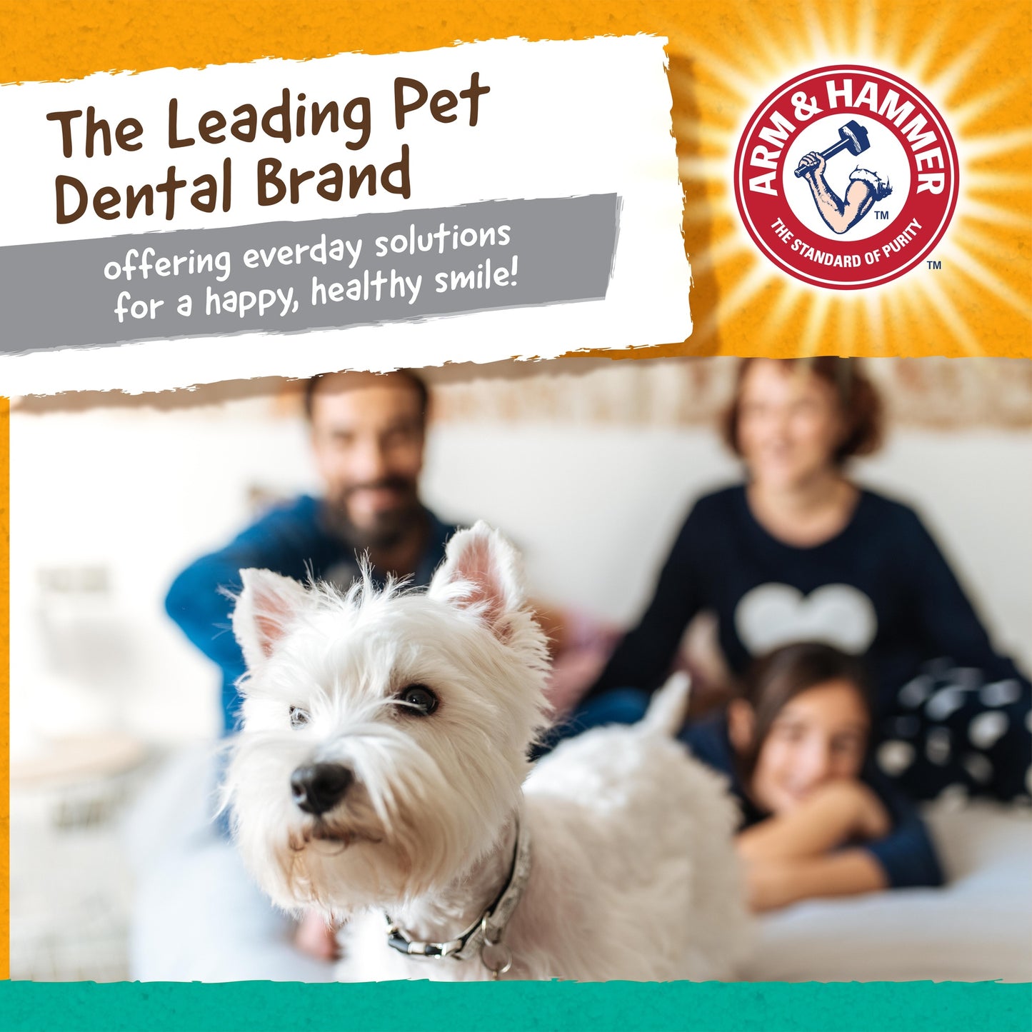Arm & Hammer Dental Water Additive for Dogs