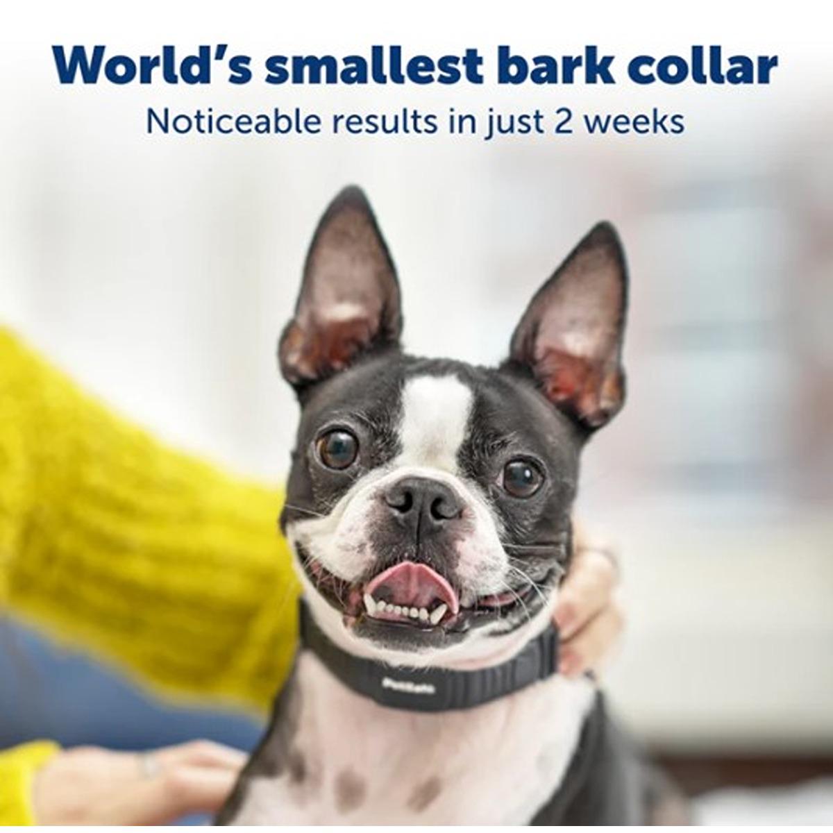 Petsafe Nano Bark Collar