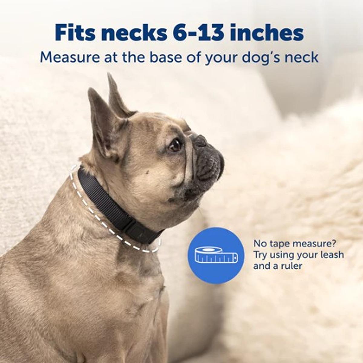 Petsafe Nano Bark Collar