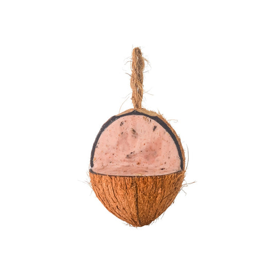 Topflite Wild Bird Coconut Bug & Berry