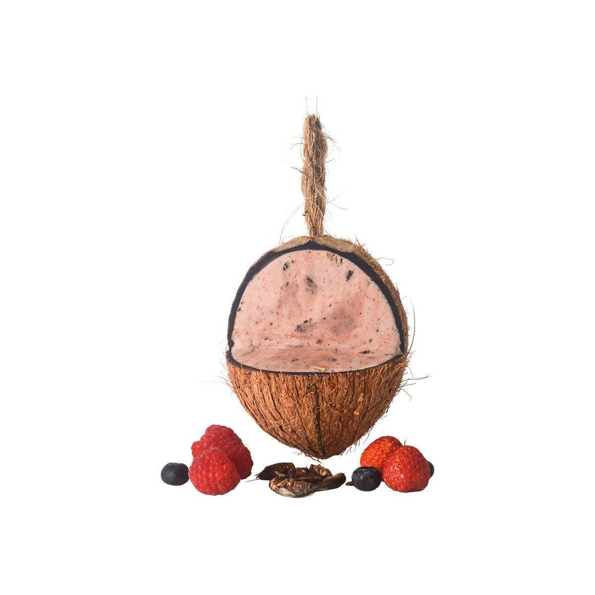 Topflite Wild Bird Coconut Bug & Berry