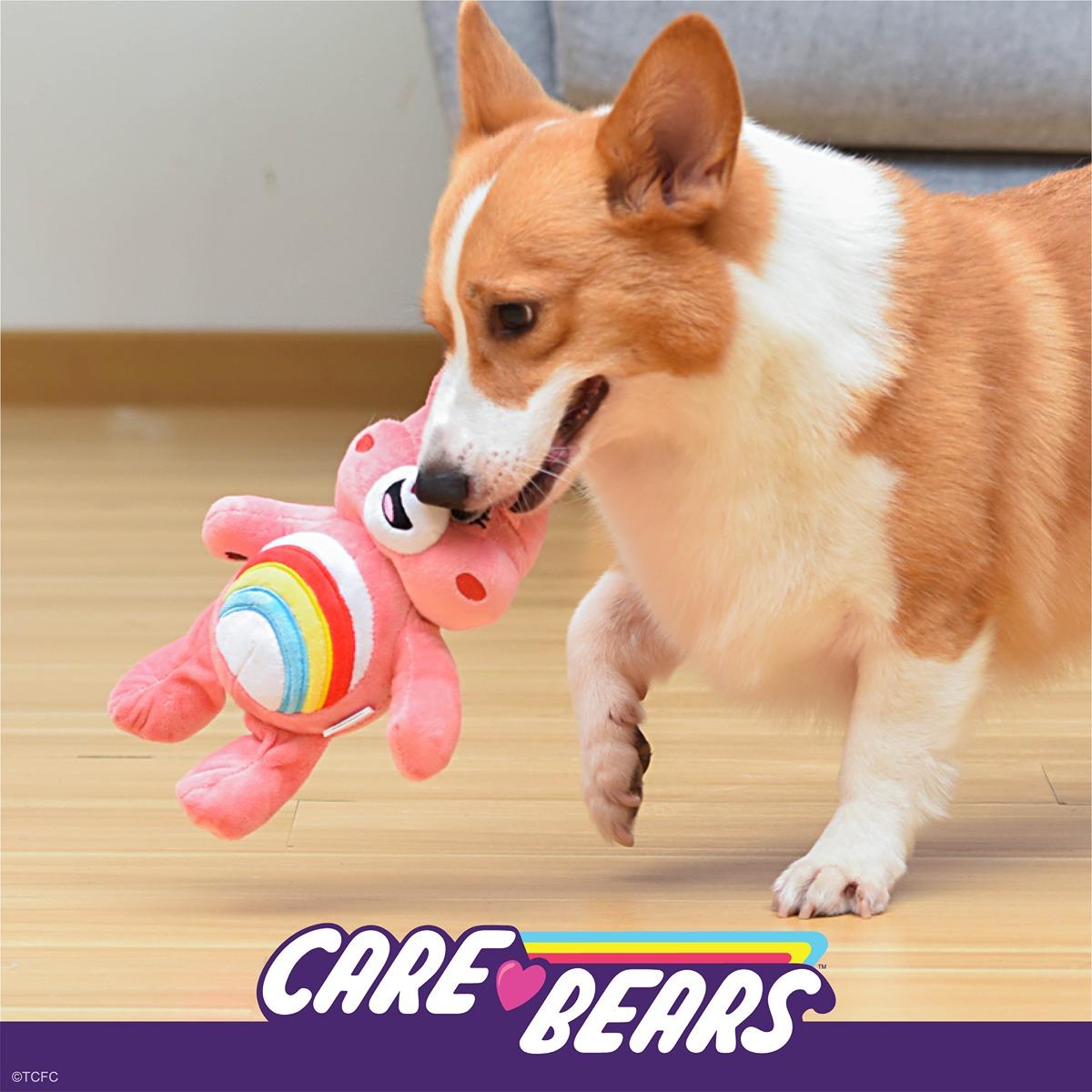 Cheer Bear Plush Squeaker Toy