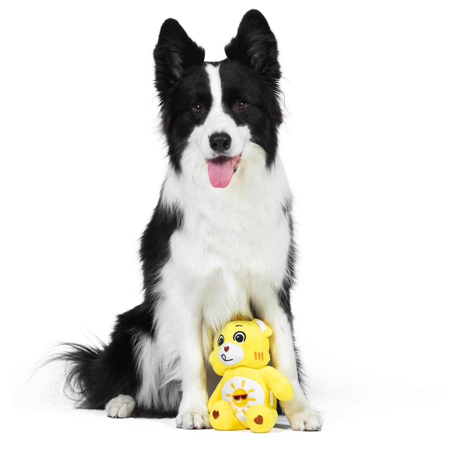 Funshine Bear Plush Squeaker Toy