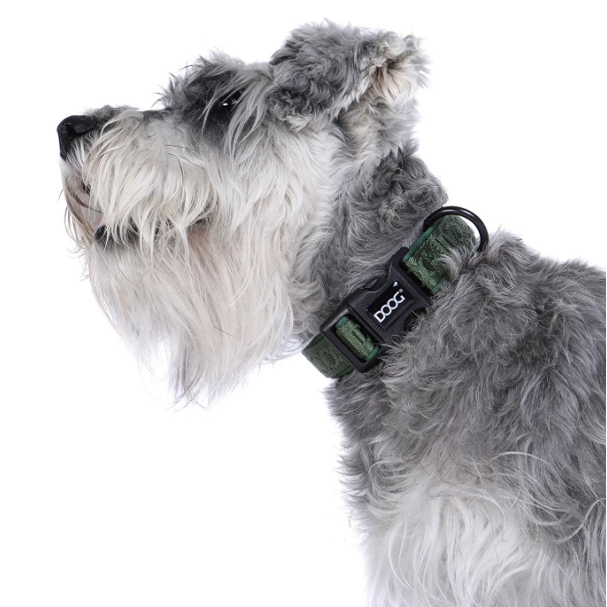 DOOG Neosport Dog Collar - Green