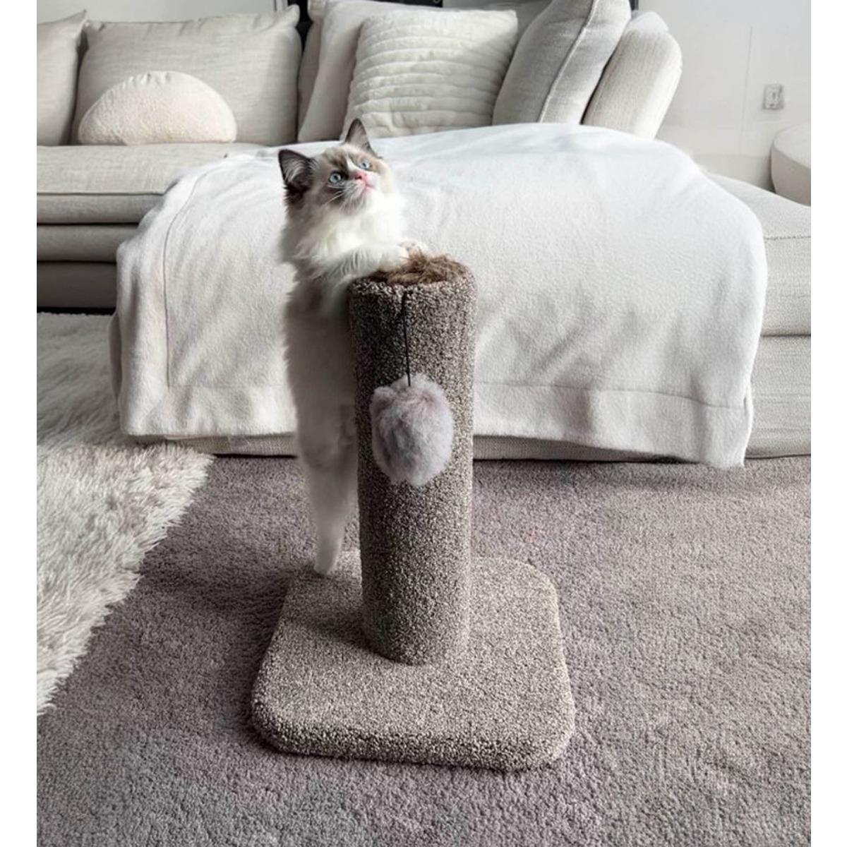 KatAttack Kitten Carpet Post