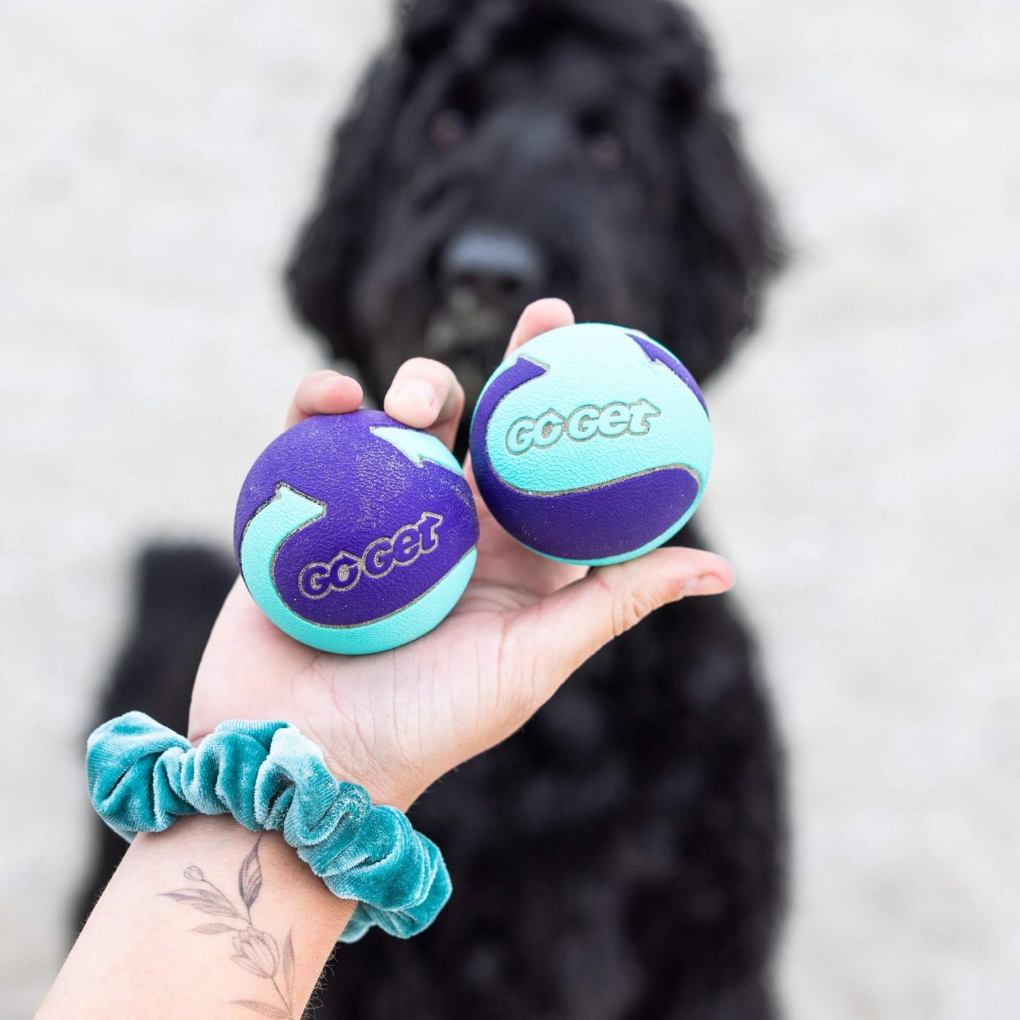 Go Get Extra Bounce Balls Dog Toy