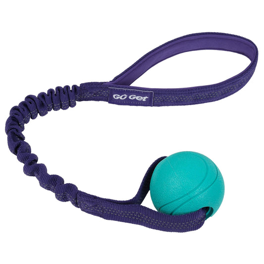 Go Get Bungee Tug Dog Toy