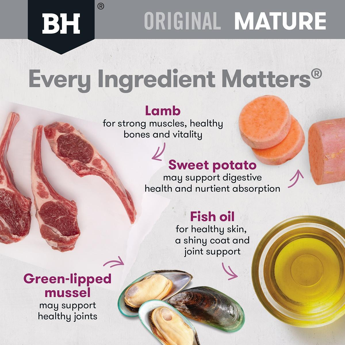 Black Hawk Mature Lamb & Rice Dry Dog Food