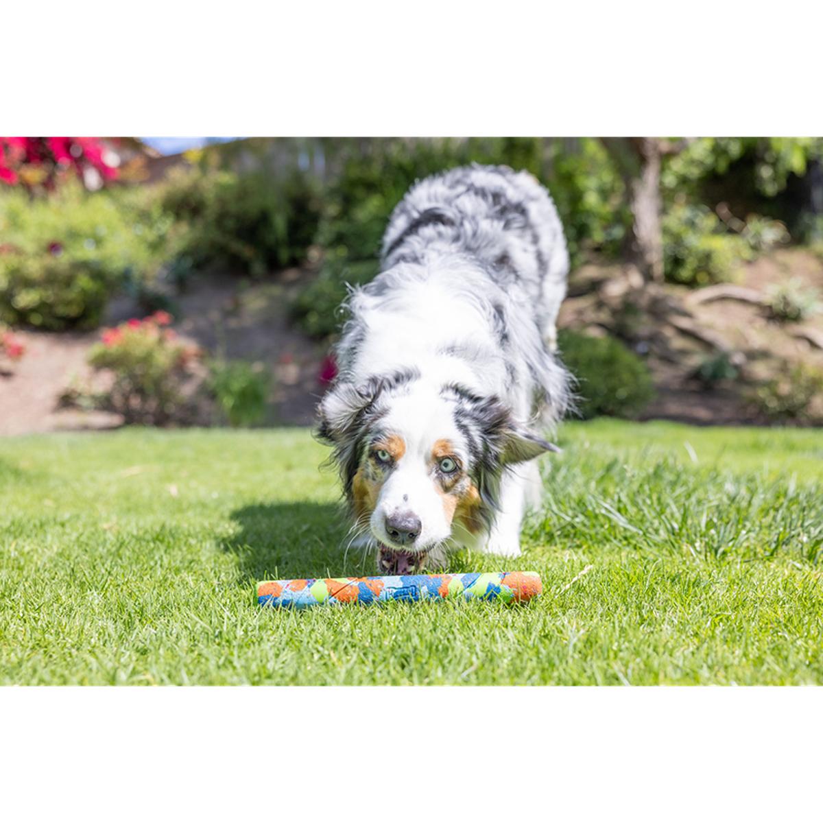 Chuckit Eco Fetch Stick