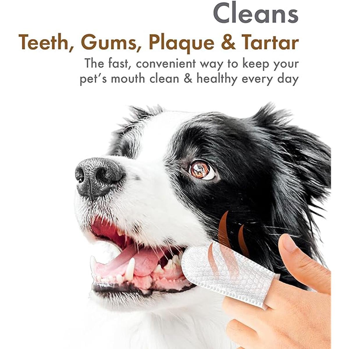 Petkin Fingertip Tooth Wipes- Peanut Butter