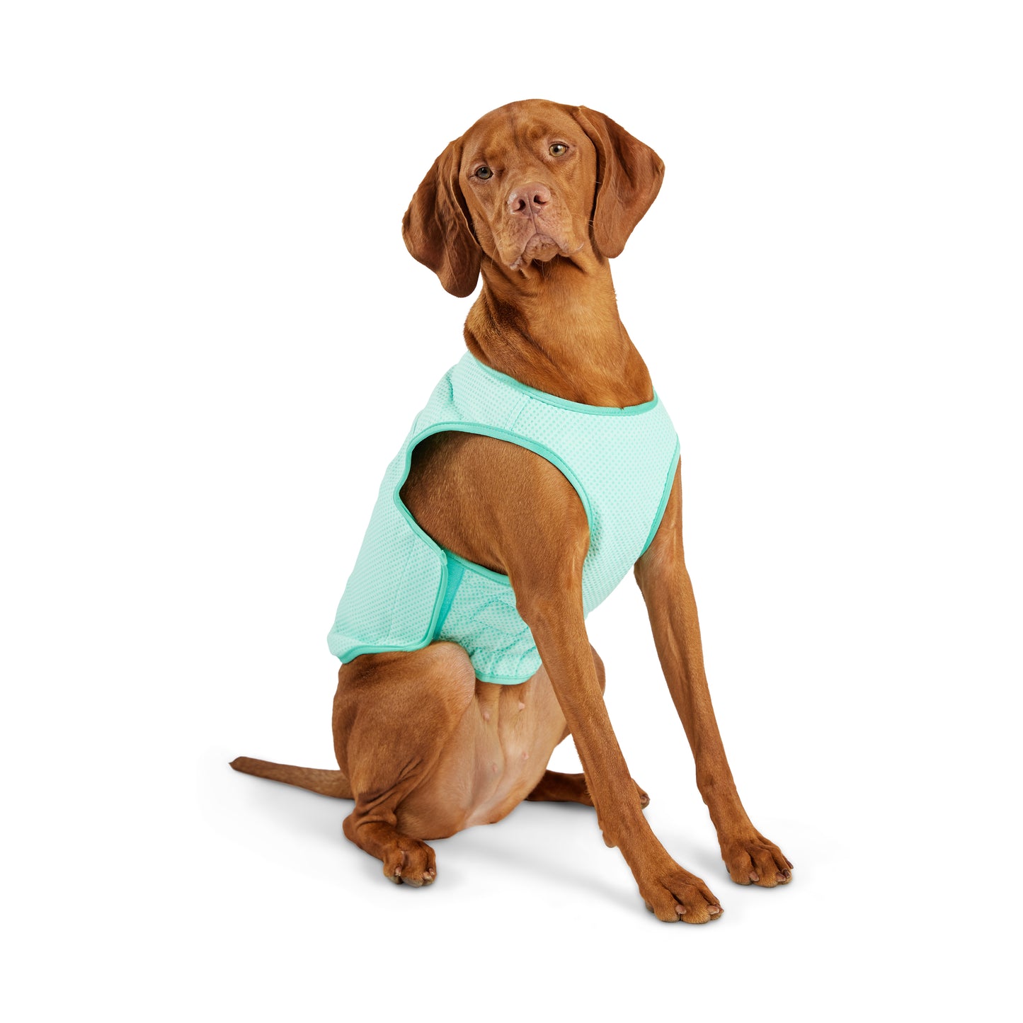 GF Pet Elasto-Fit Cooling Ice Vest