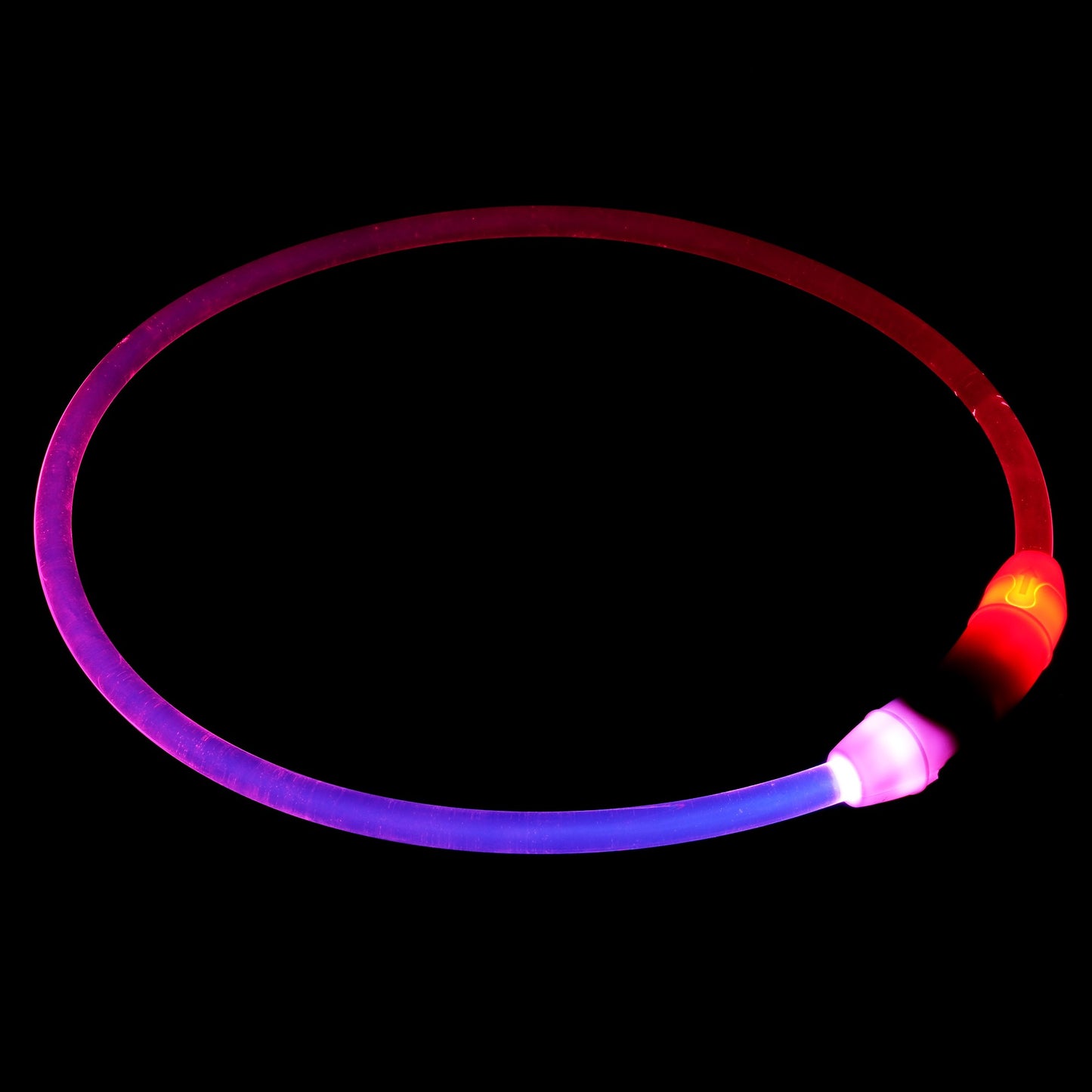 Lexi & Me Rechargable Light Up Collar