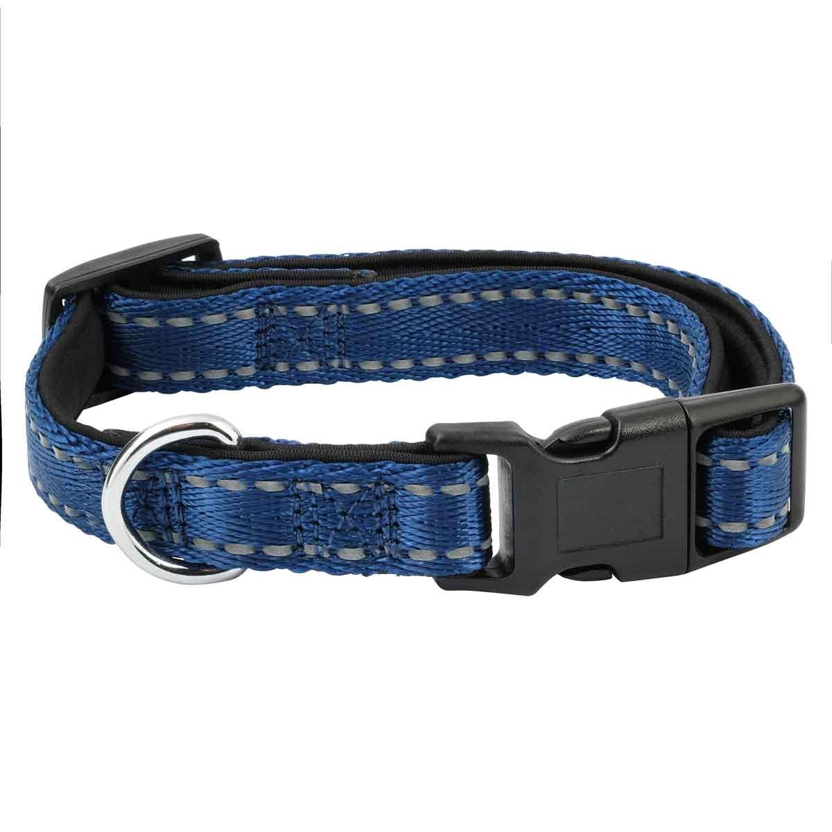 Lexi & Me Nylon Dog Collar