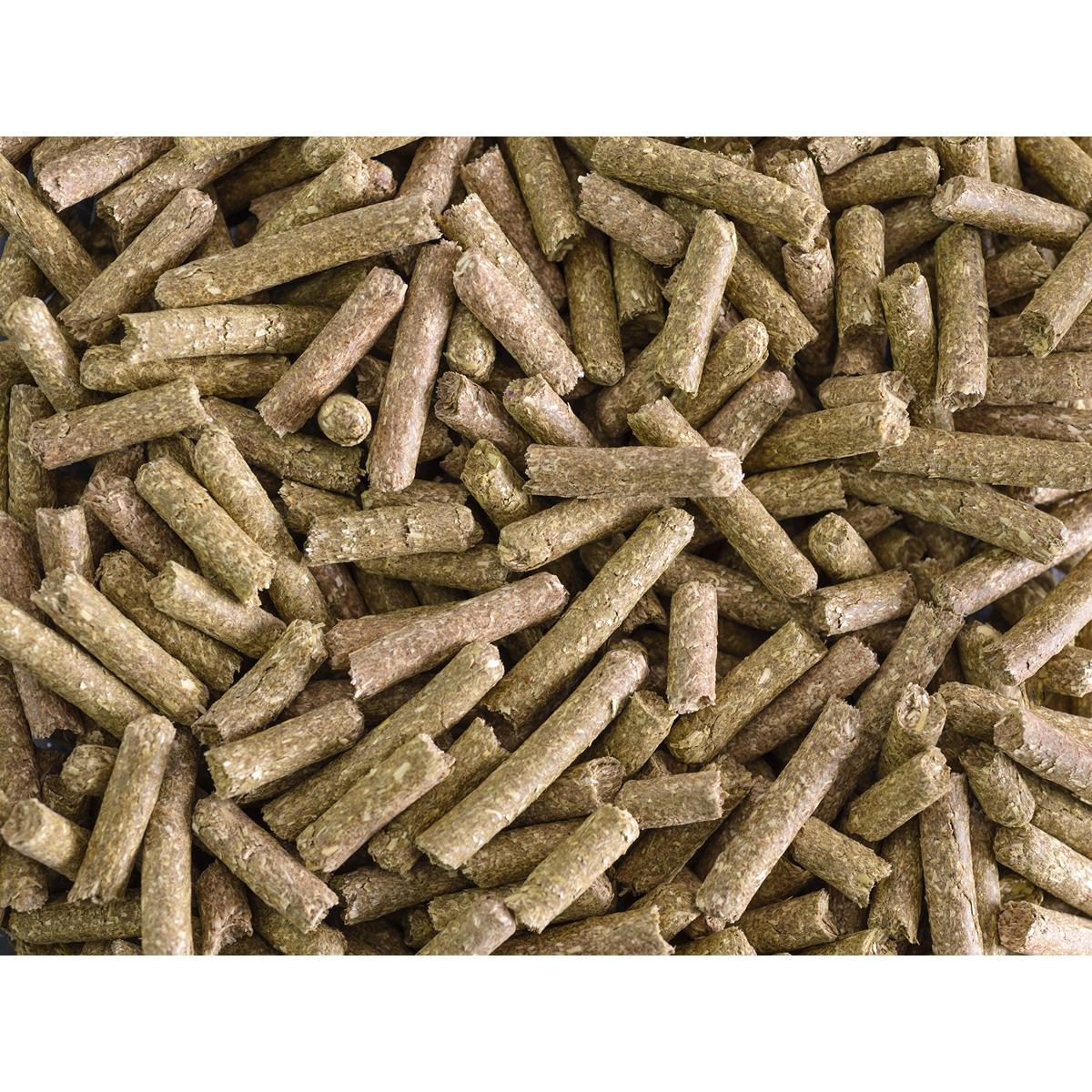The Pick Fibre Feast for Guinea Pigs