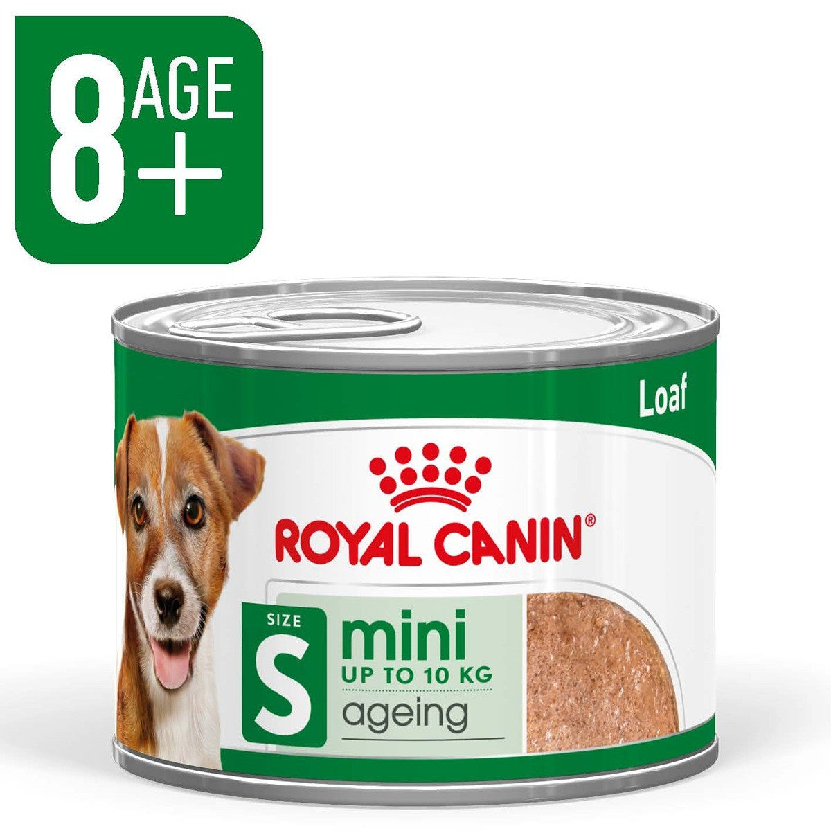 Royal Canin Dog Mini Ageing Loaf Can Wet
