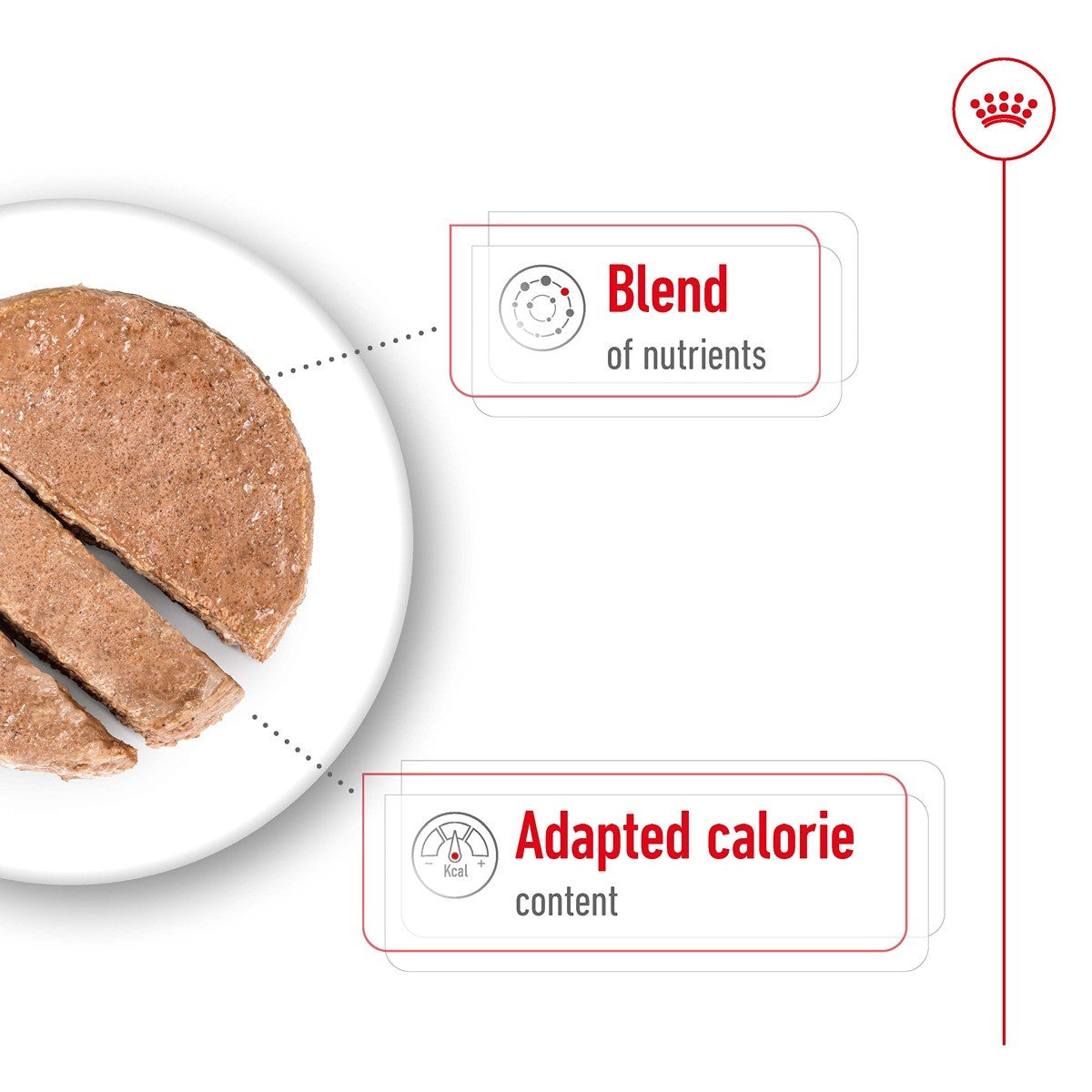 Royal Canin Dog Mini Ageing Loaf Can Wet