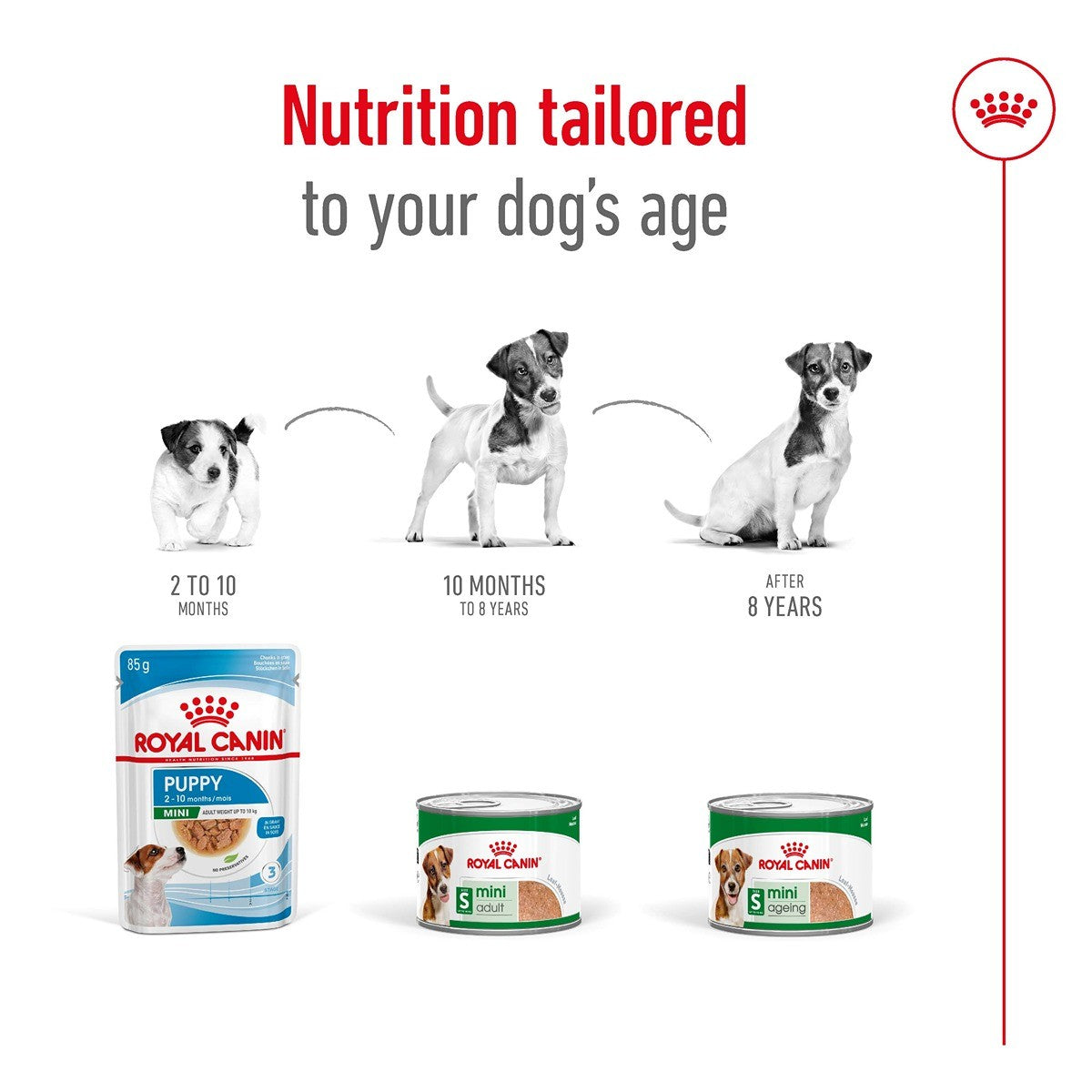 Royal Canin Dog Mini Ageing Loaf Can Wet