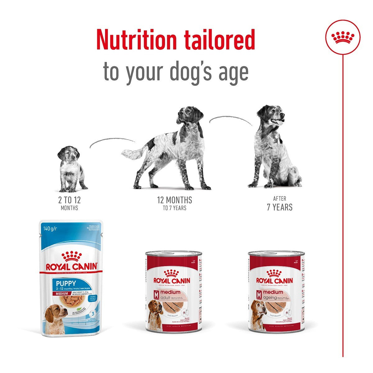 Royal Canin Dog Medium Adult Loaf Can Wet