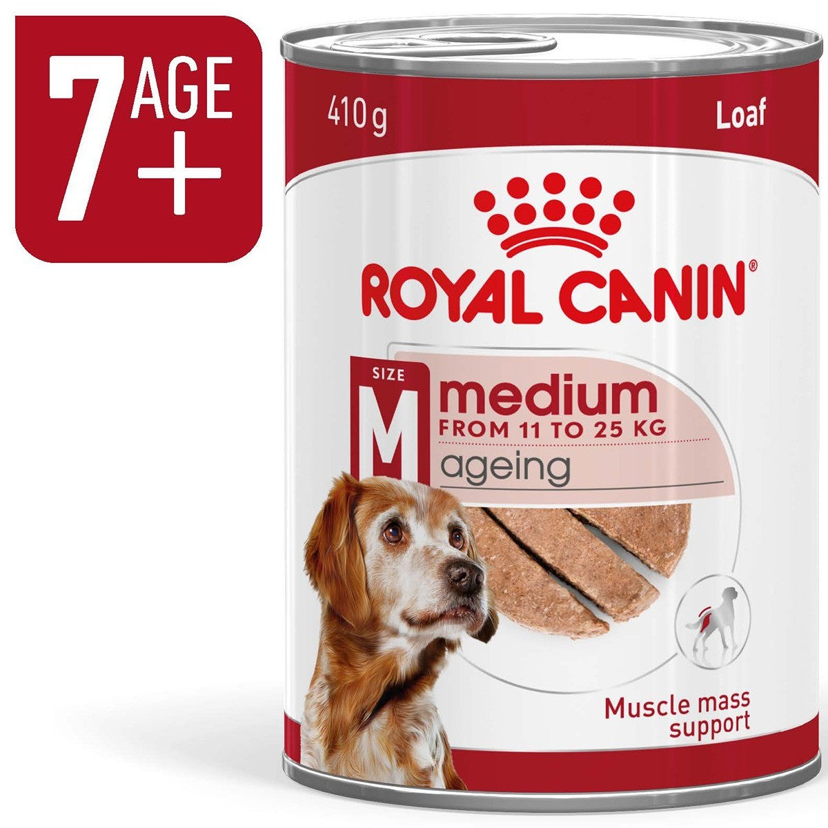 Royal Canin Dog Medium Ageing Loaf Can Wet