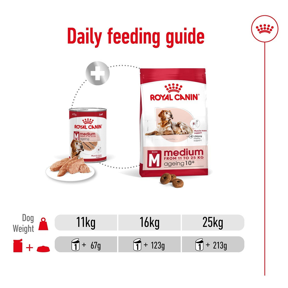 Royal Canin Dog Medium Ageing Loaf Can Wet