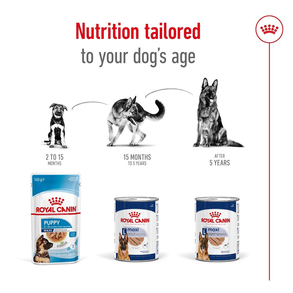 Royal Canin Dog Maxi Adult Loaf Can Wet