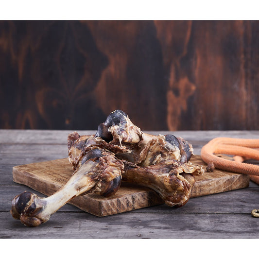 Dried Veal Femur Bone