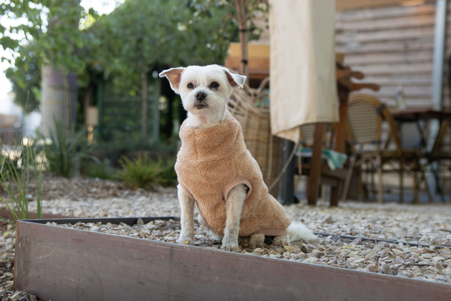 DGG Snuggly Dog Jumper Biscuit