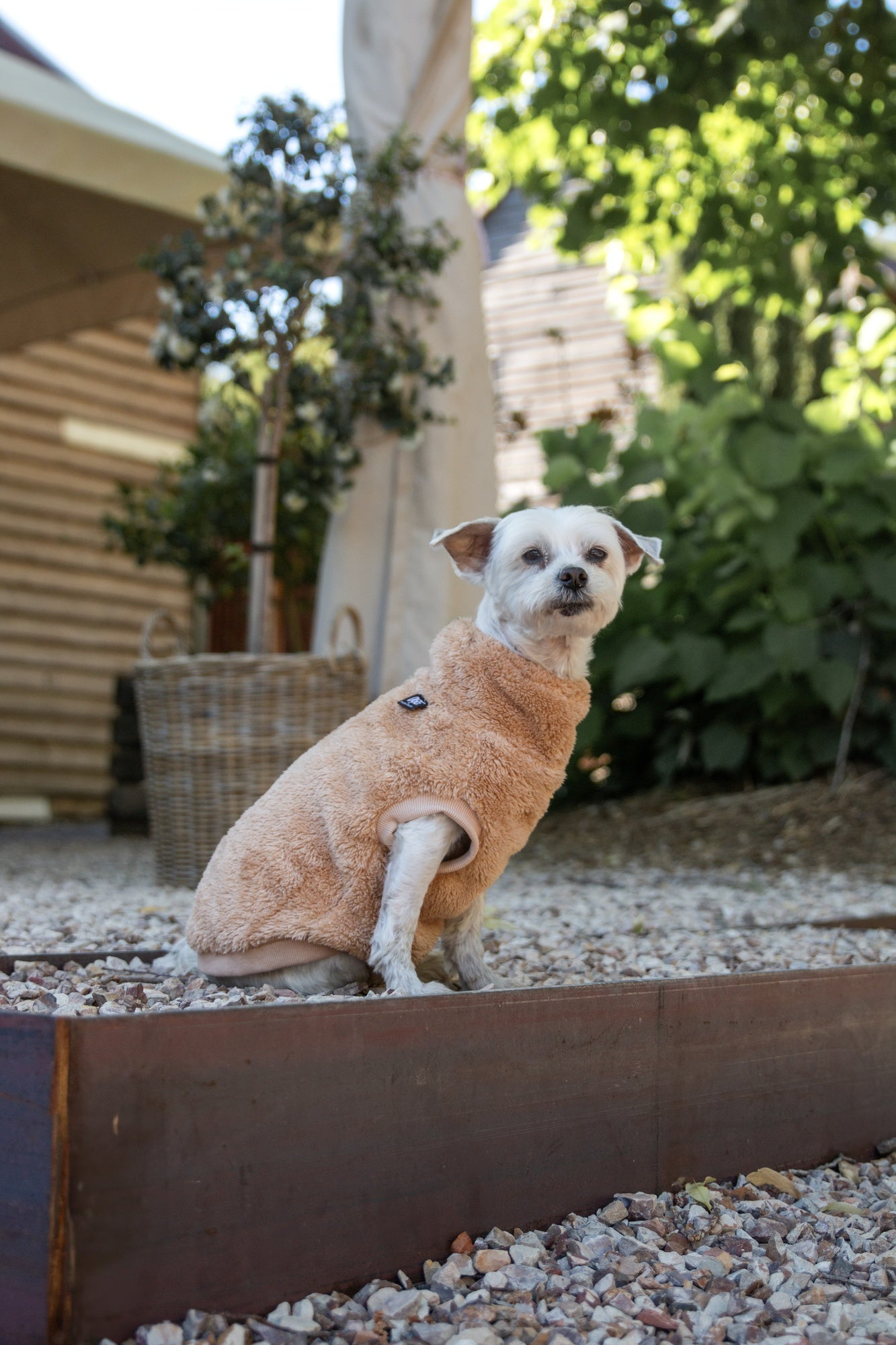 DGG Snuggly Dog Jumper Biscuit