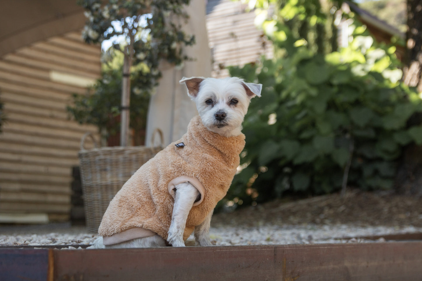 DGG Snuggly Dog Jumper Biscuit