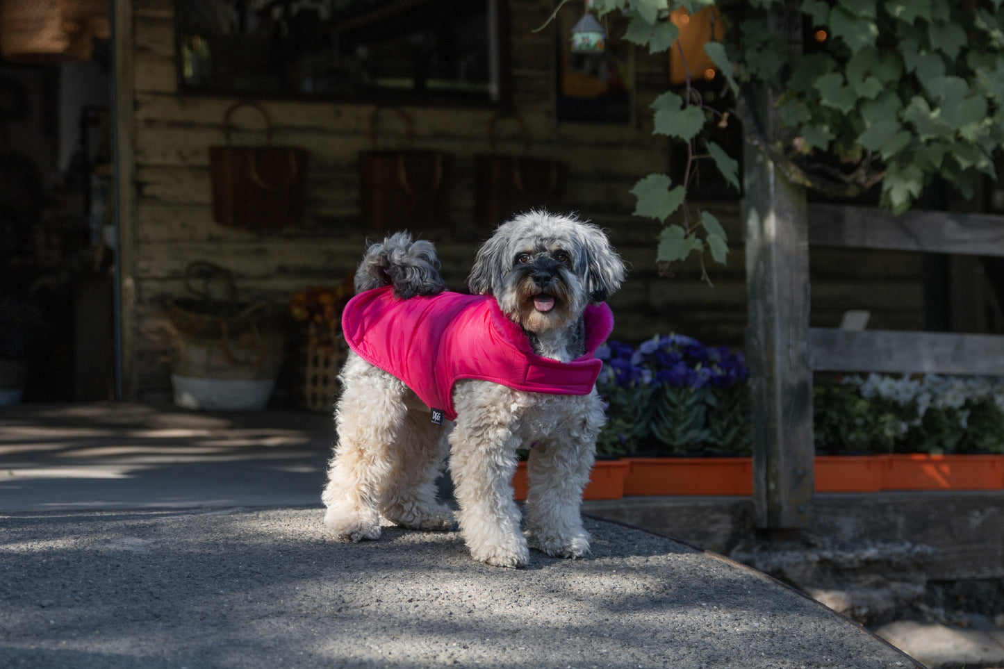 DGG Puffer Dog Jumper Stand Out Pink