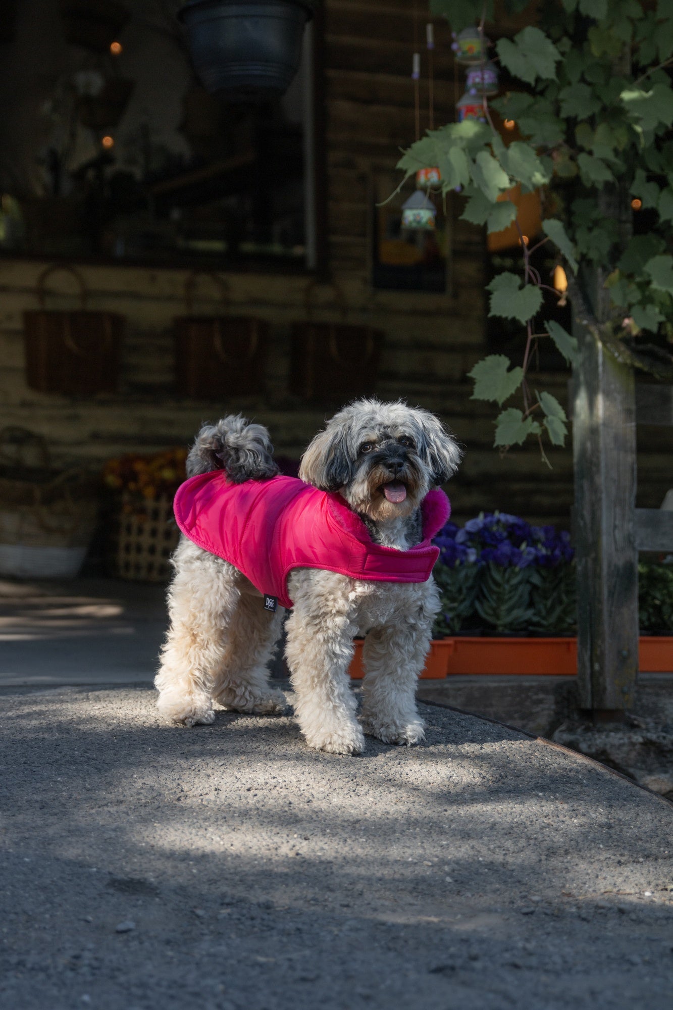 DGG Puffer Dog Jumper Stand Out Pink
