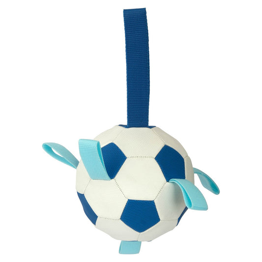 Lexi & Me Soccer Ball with Tags Dog Toy