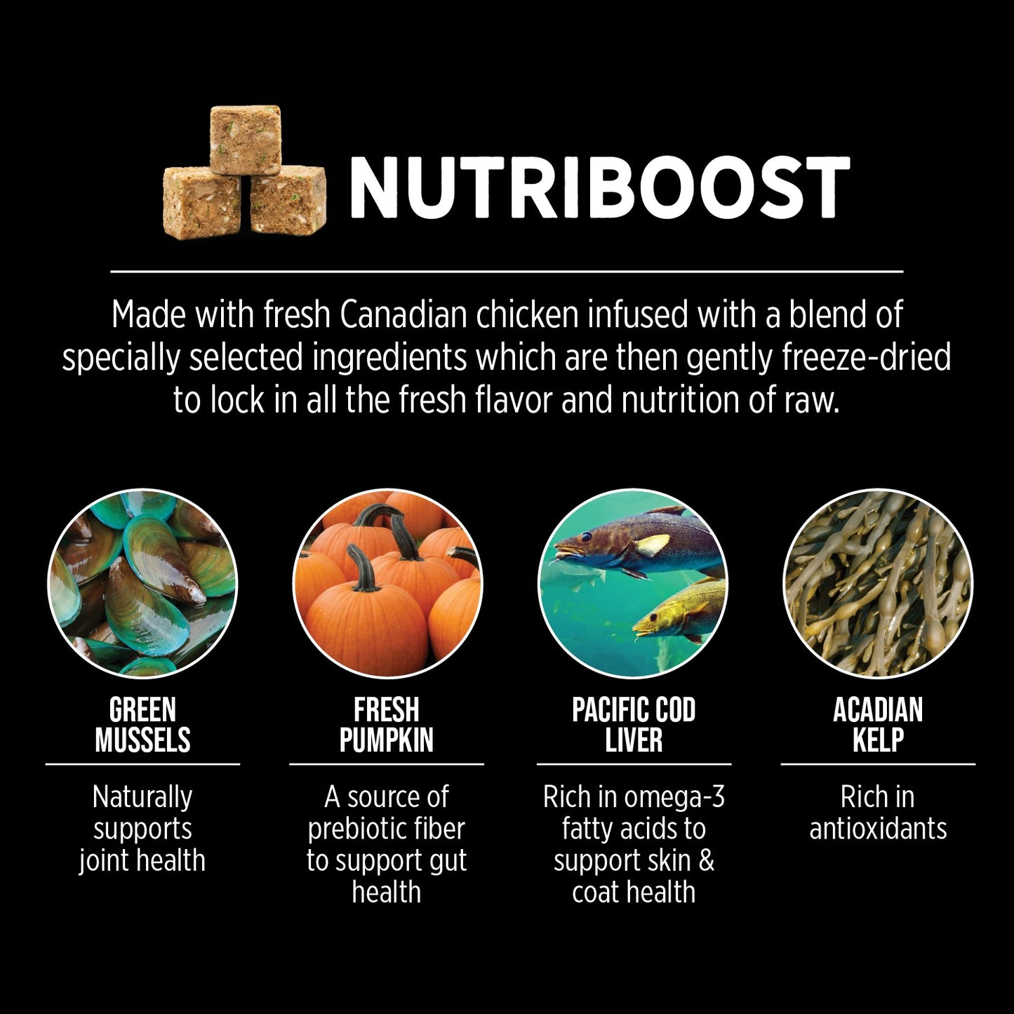 Nutrience SubZero Fraser Valley Dry Cat Food