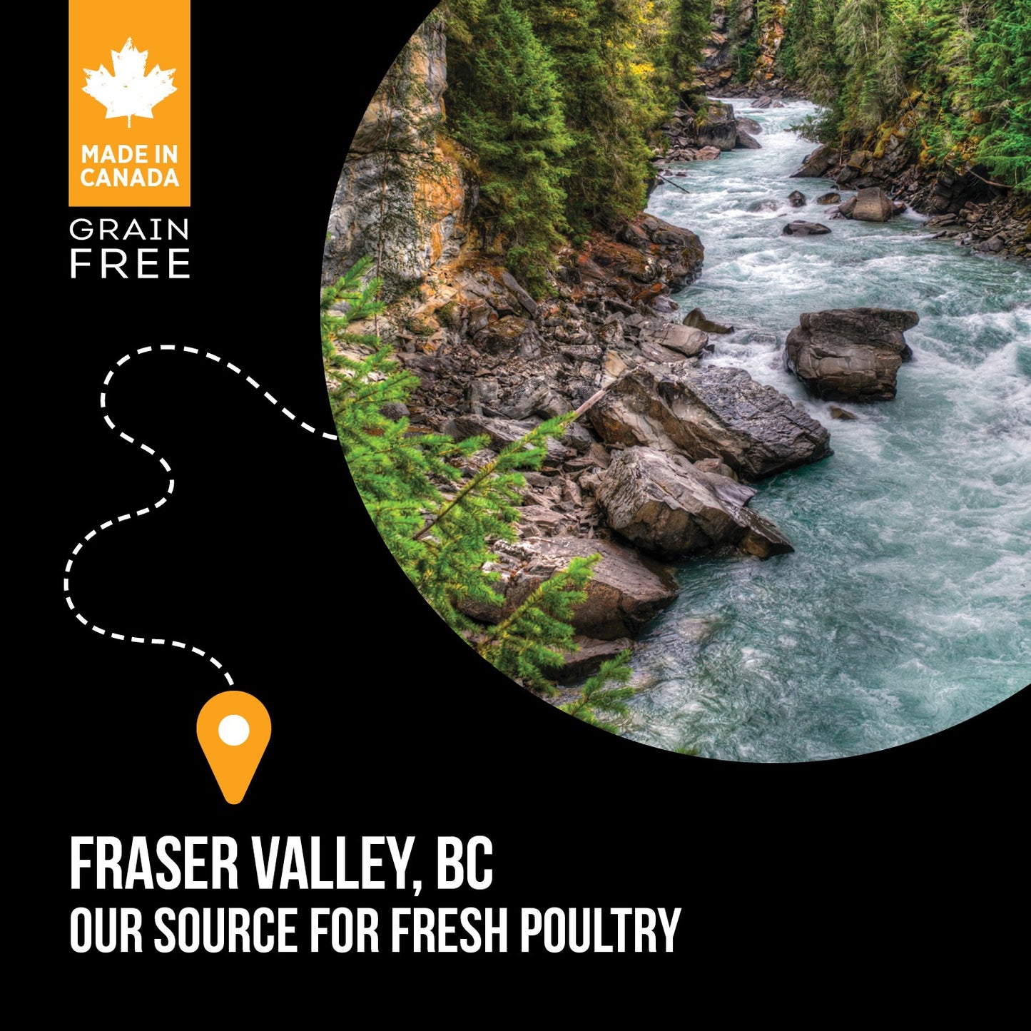 Nutrience SubZero Fraser Valley Dry Cat Food