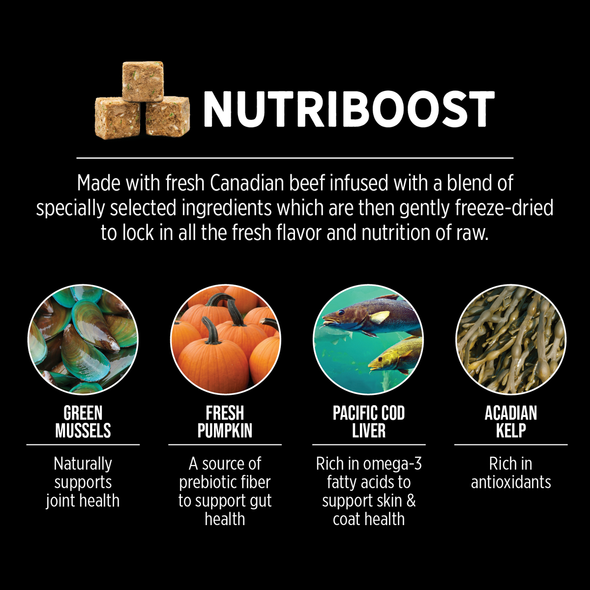 Nutrience SubZero Prairie Red Cat Food