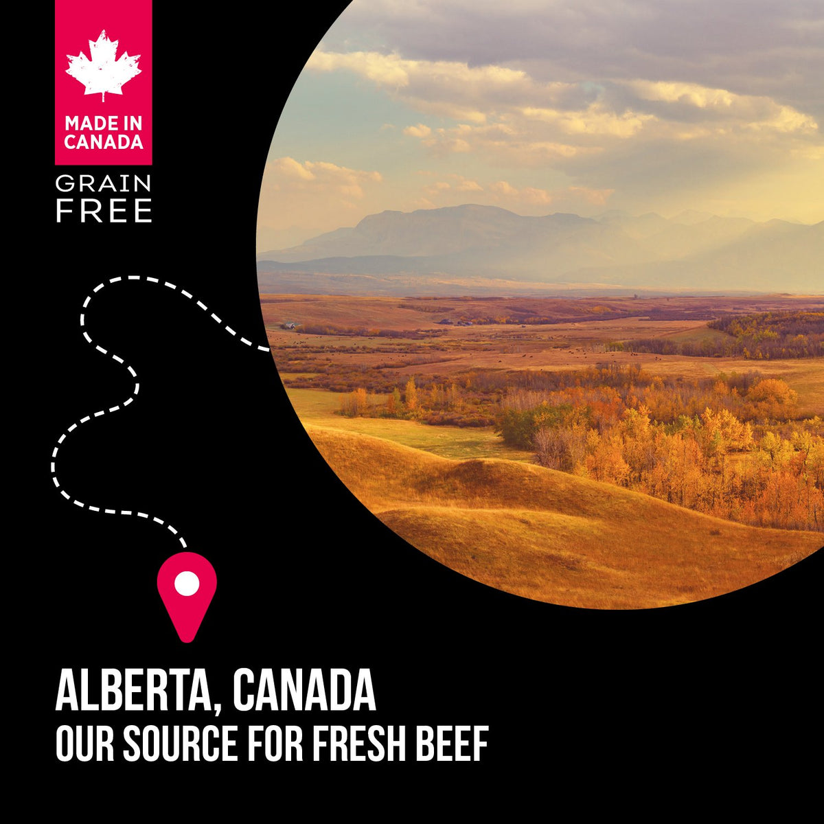 Nutrience SubZero Prairie Red Cat Food