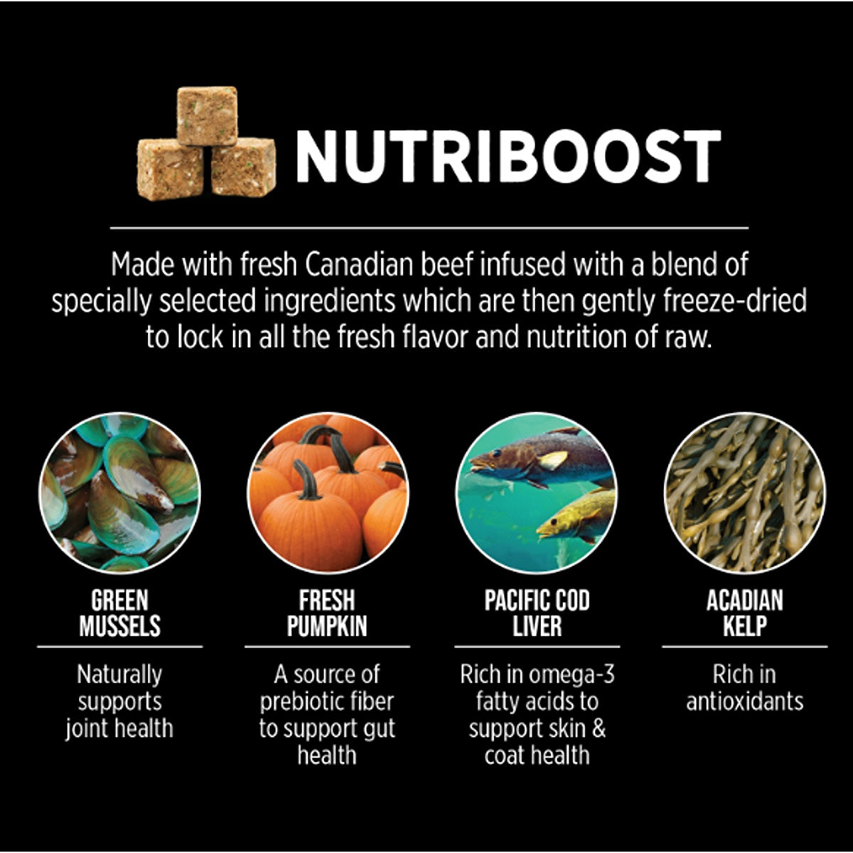 Nutrience SubZero Prairie Red Cat Food