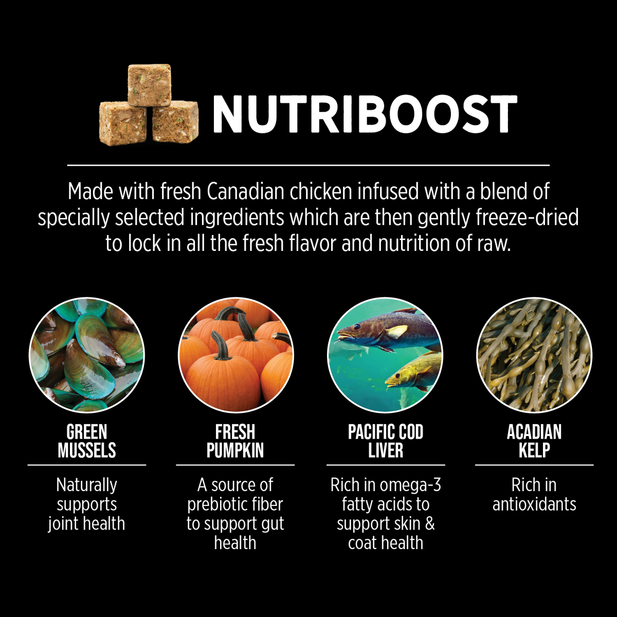 Nutrience Subzero Grain Free Fraser Valley Dry Dog Food