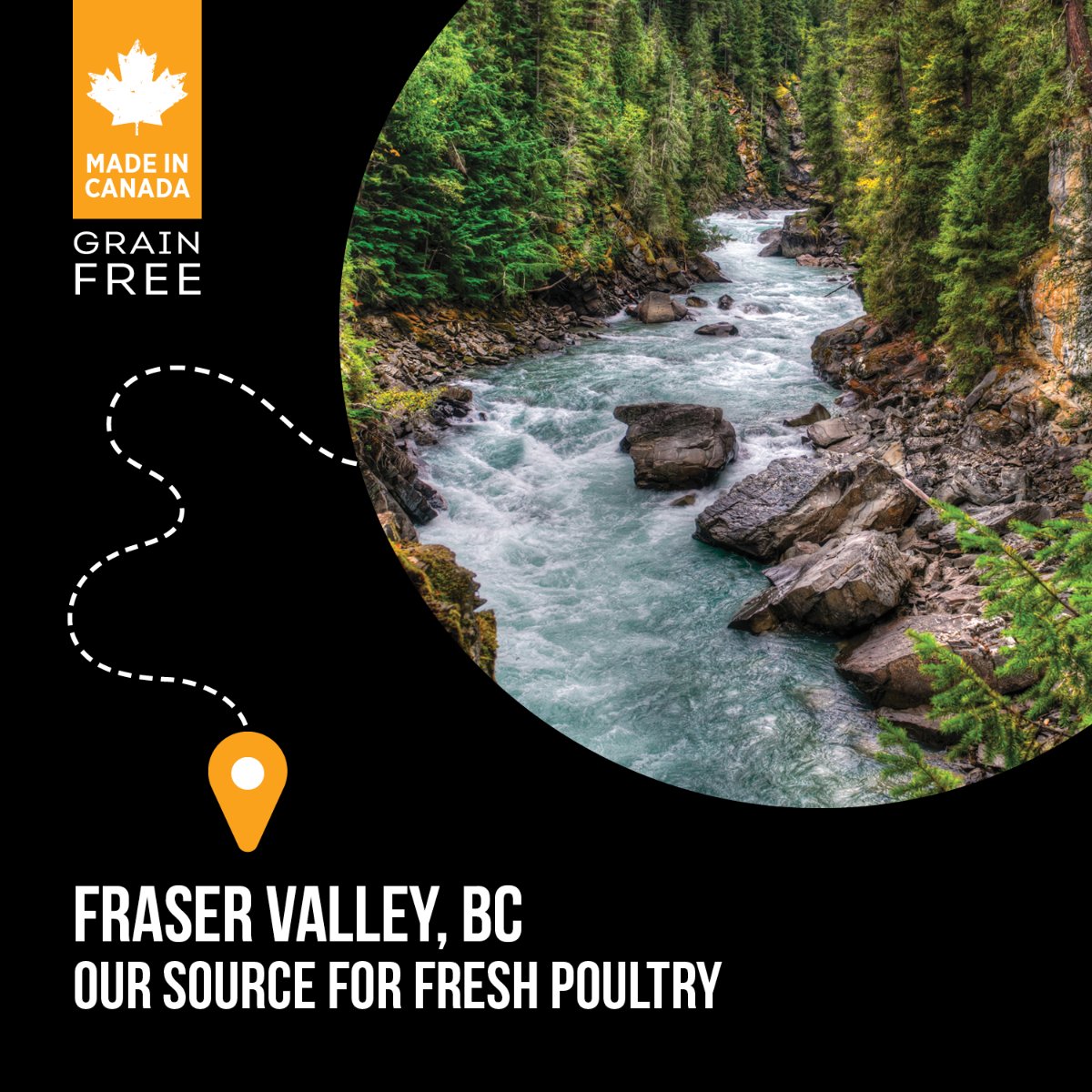 Nutrience Subzero Grain Free Fraser Valley Dry Dog Food